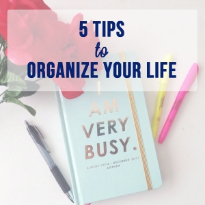 5 Tips to Organize Your Life | Chicisms