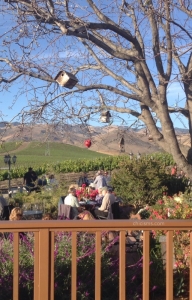 Sunset in the Garden, Wolff Vineyards