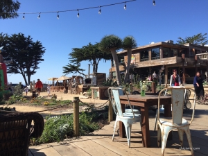 Centrally Grown, Cambria