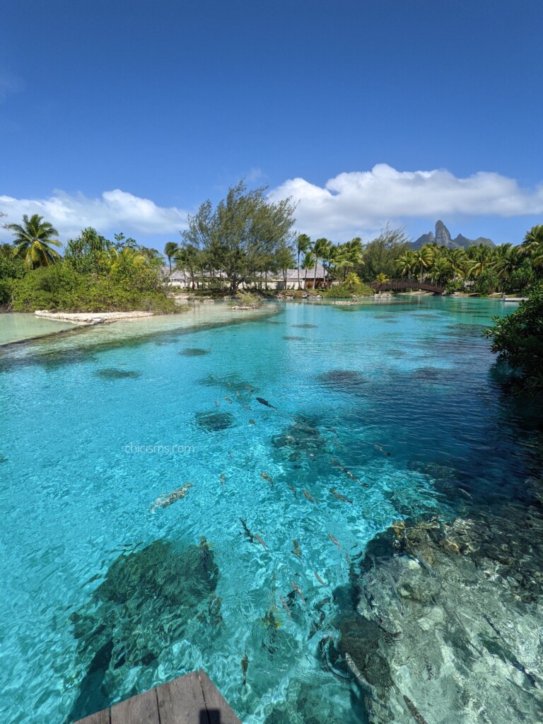St. Regis Bora Bora Lagoonarium